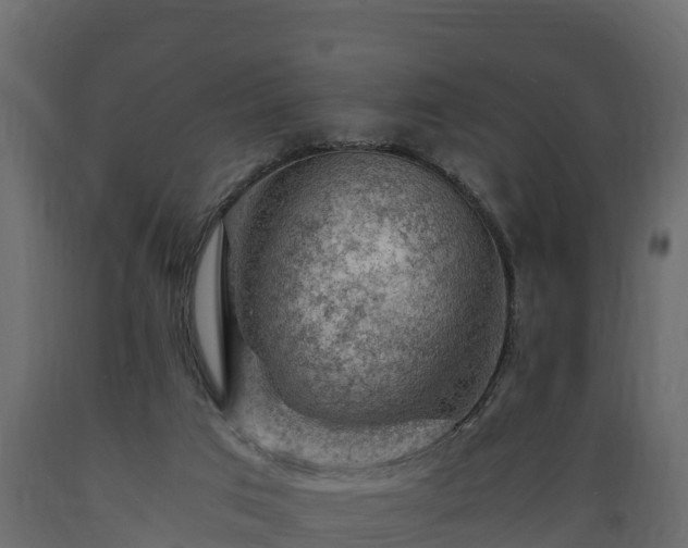 X0000089920017200707061028