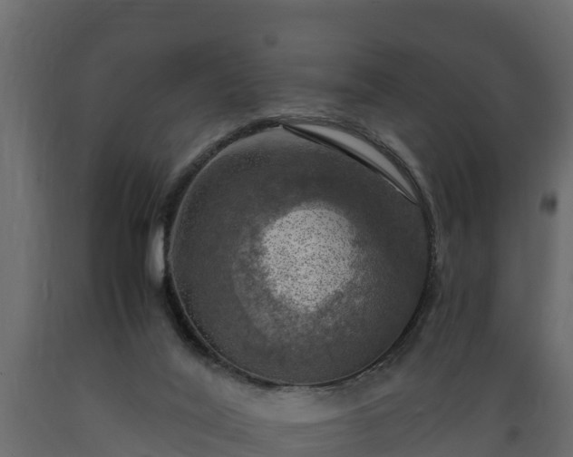 X0000089920020200707061028