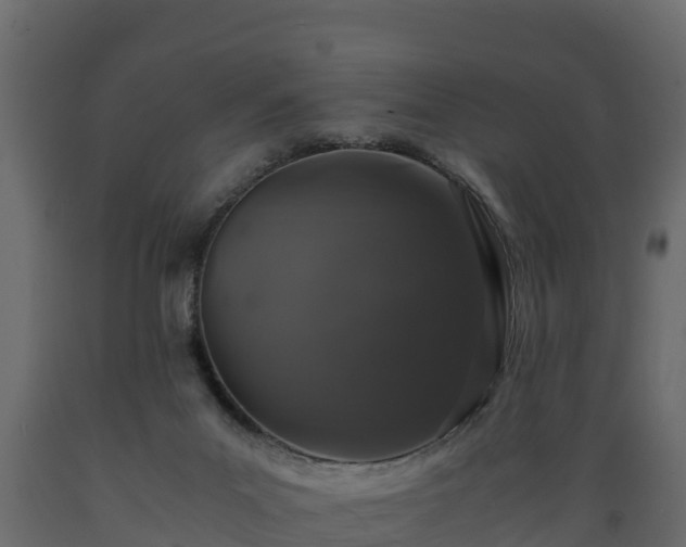 X0000089920023200707061028