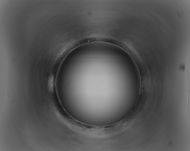 X0000089920024200707061028