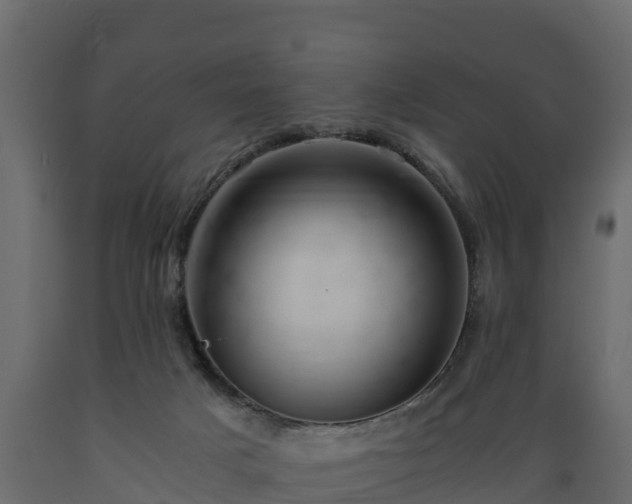 X0000089920025200707061028