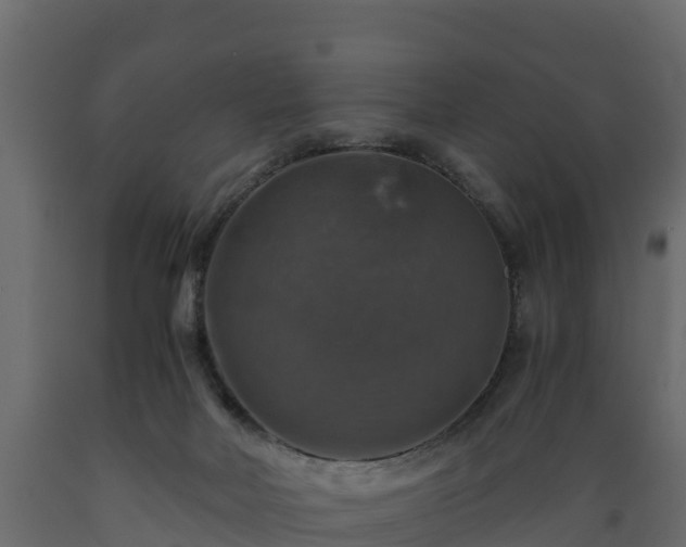X0000089920026200707061028