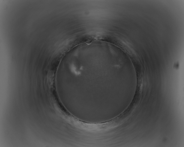 X0000089920030200707061028