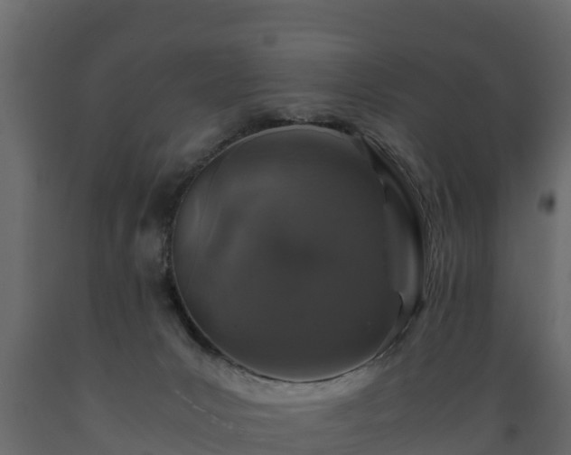 X0000089920031200707061028
