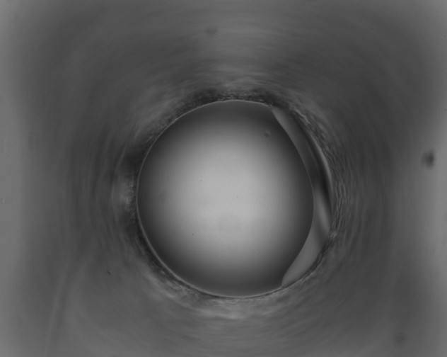 X0000089920033200707061028