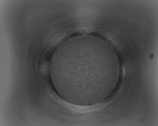 X0000089920034200707061028