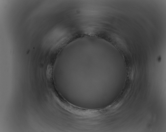 X0000089920036200707061028