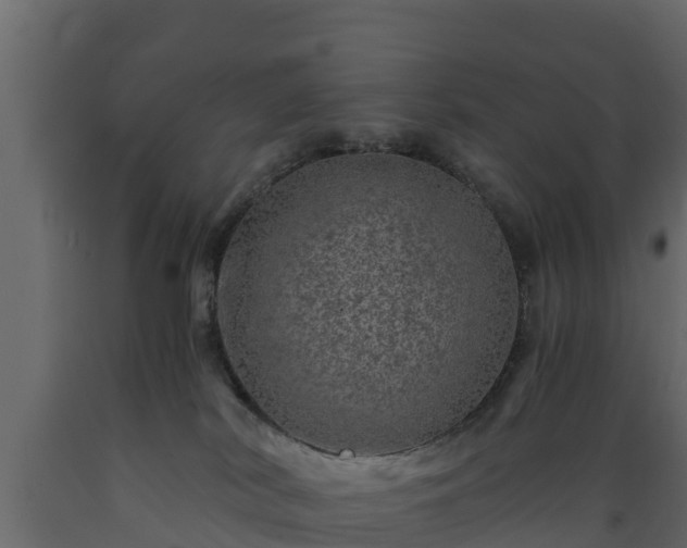 X0000089920038200707061028