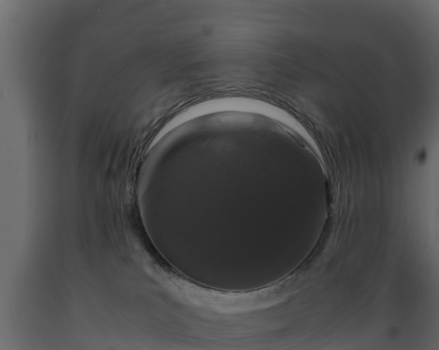 X0000089920039200707061028