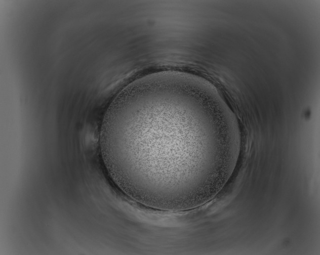 X0000089920040200707061028
