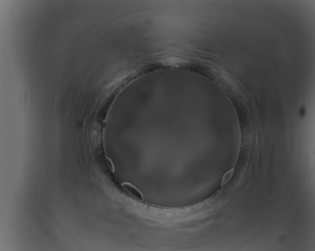 X0000089920043200707061028