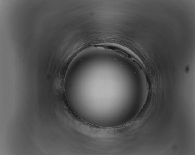 X0000089920044200707061028
