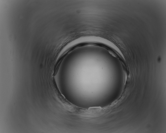 X0000089920045200707061028