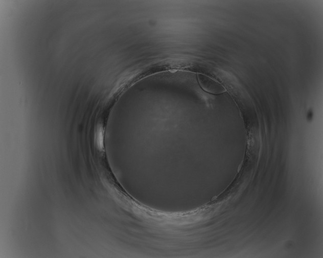 X0000089920046200707061028