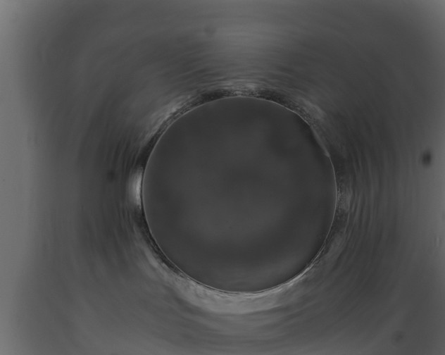 X0000089920047200707061028
