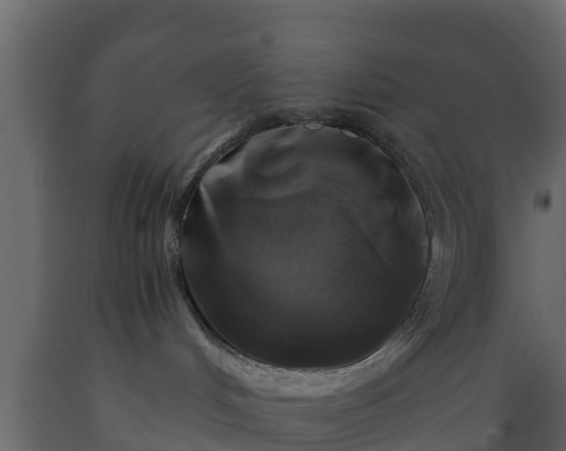 X0000089920048200707061028