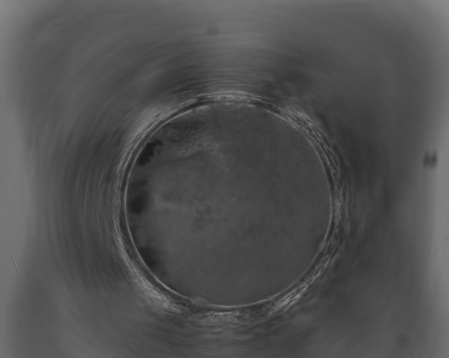 X0000089920049200707061027
