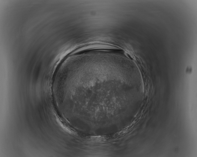 X0000089920050200707061027