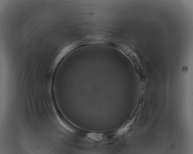 X0000089920051200707061027
