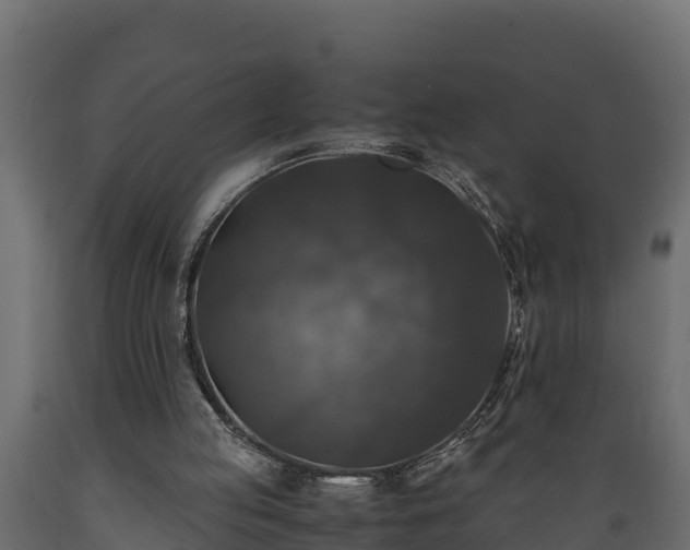 X0000089920053200707061027