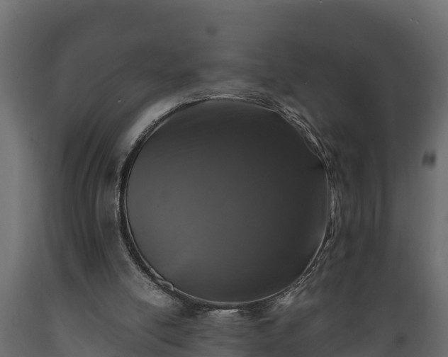 X0000089920054200707061027