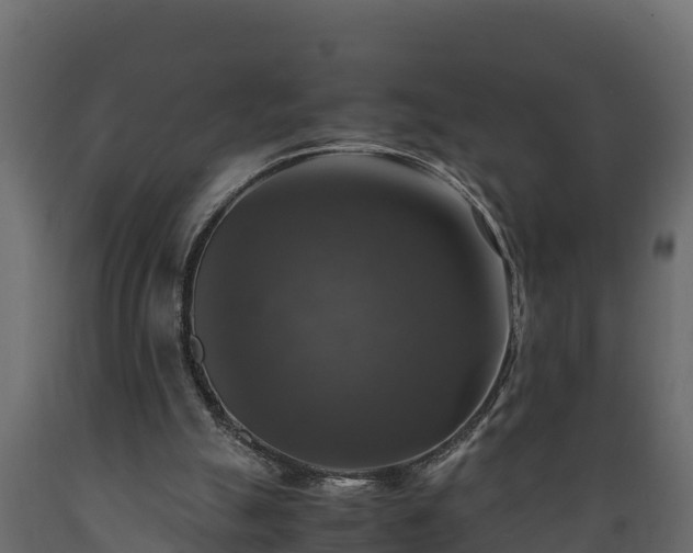 X0000089920055200707061027