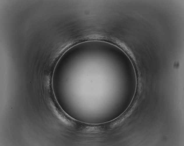 X0000089920057200707061027
