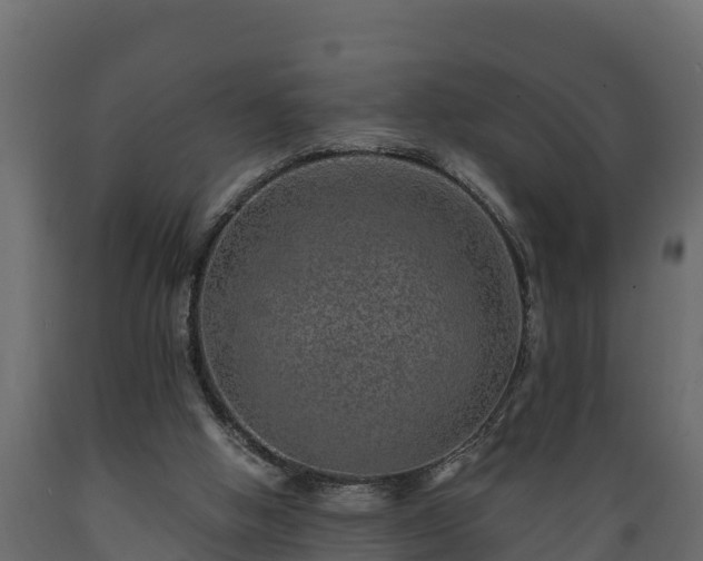 X0000089920058200707061027