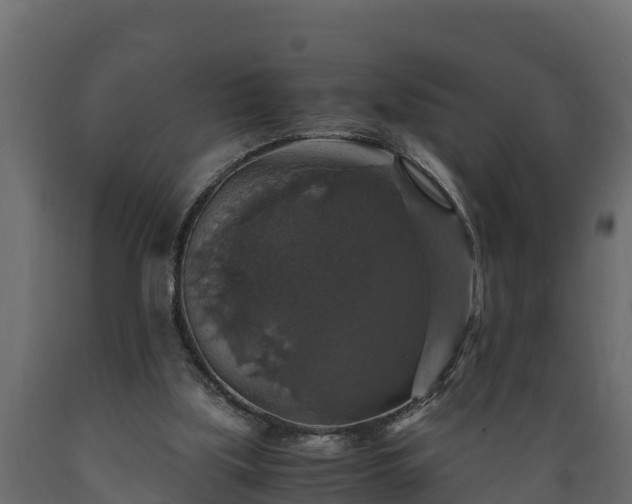 X0000089920059200707061027