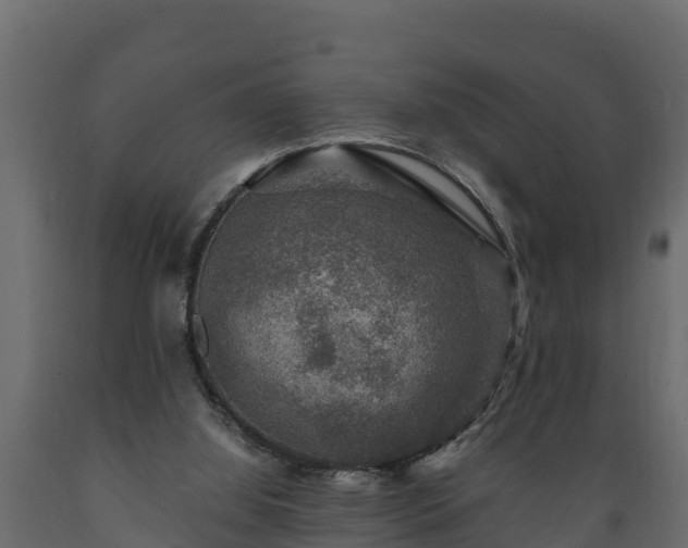 X0000089920060200707061027