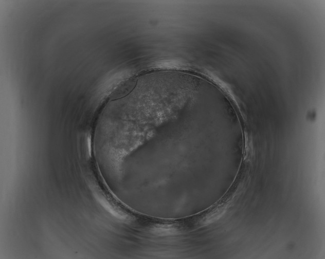 X0000089920061200707061027