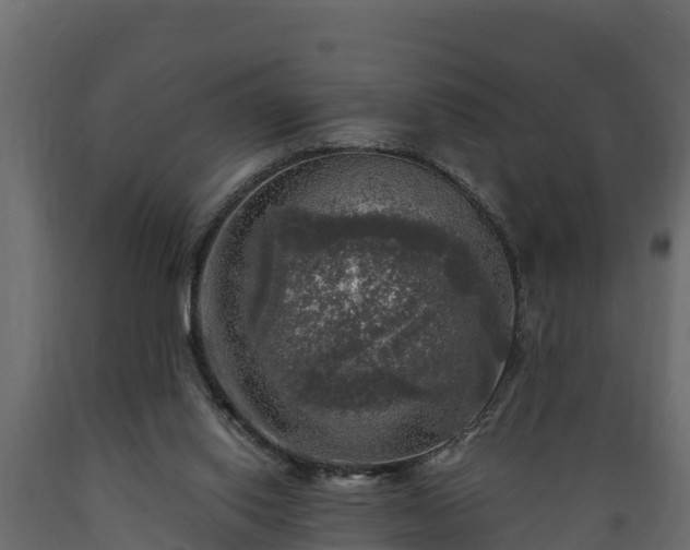X0000089920062200707061027