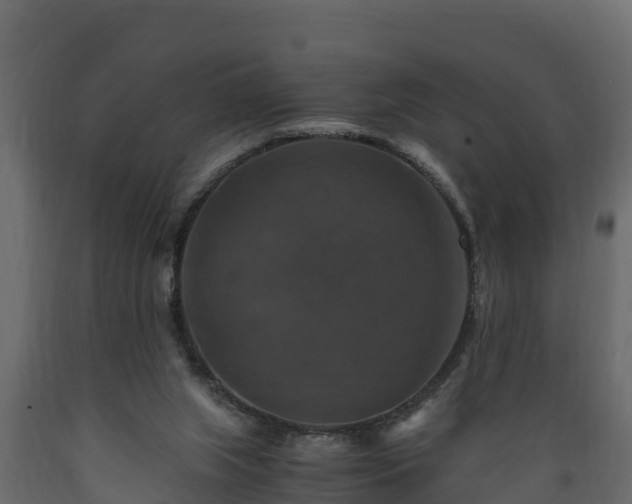 X0000089920063200707061027