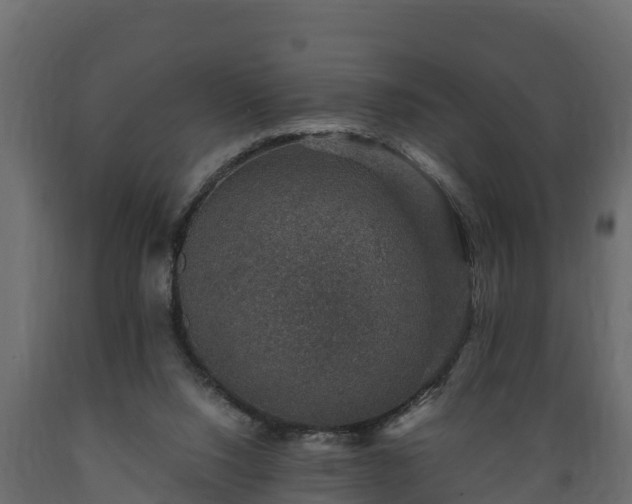 X0000089920064200707061027