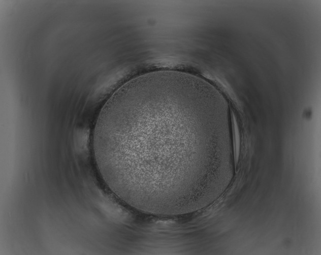 X0000089920066200707061027
