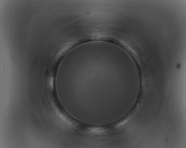 X0000089920067200707061027