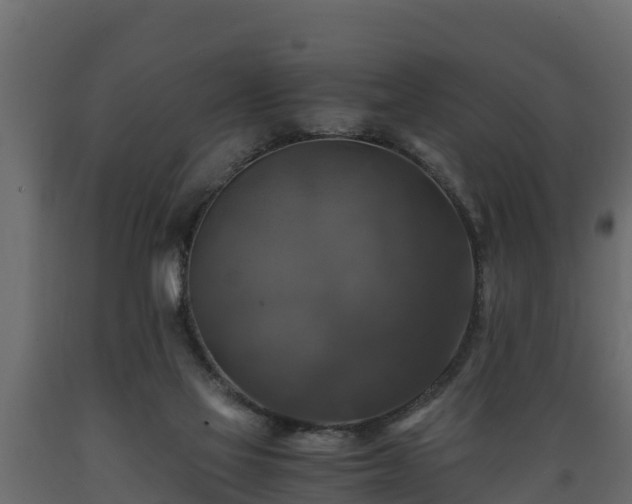 X0000089920069200707061027