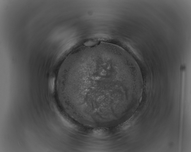 X0000089920070200707061027