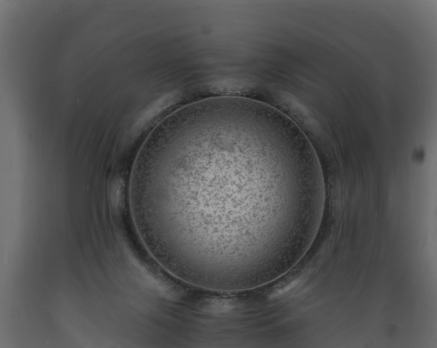 X0000089920071200707061027