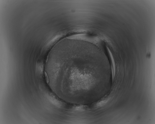 X0000089920072200707061027
