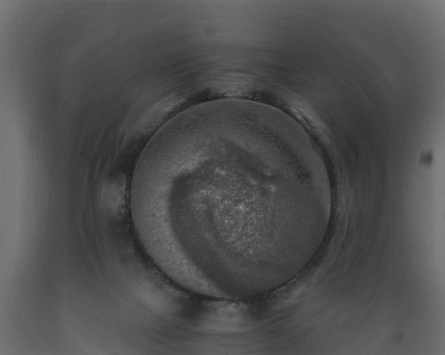 X0000089920073200707061027