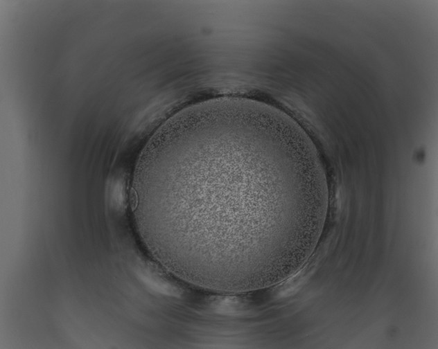 X0000089920074200707061027