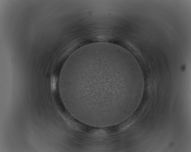 X0000089920075200707061027