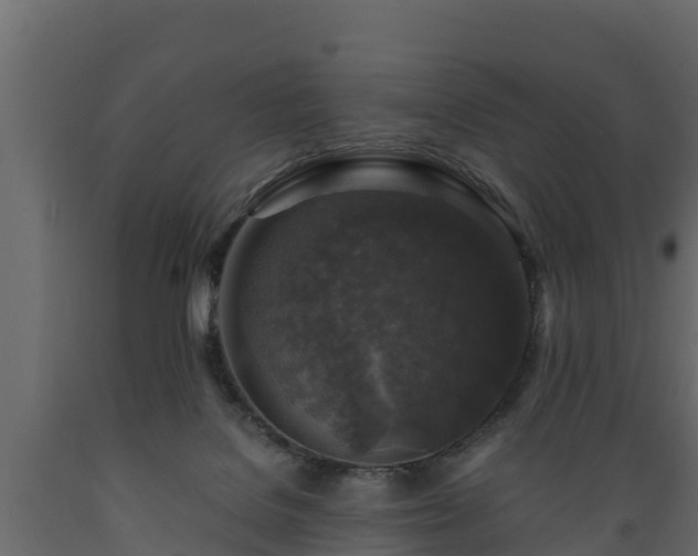 X0000089920076200707061027