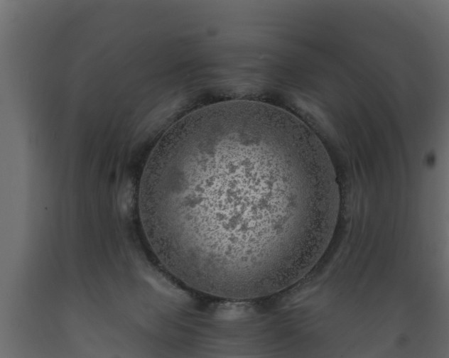 X0000089920077200707061027