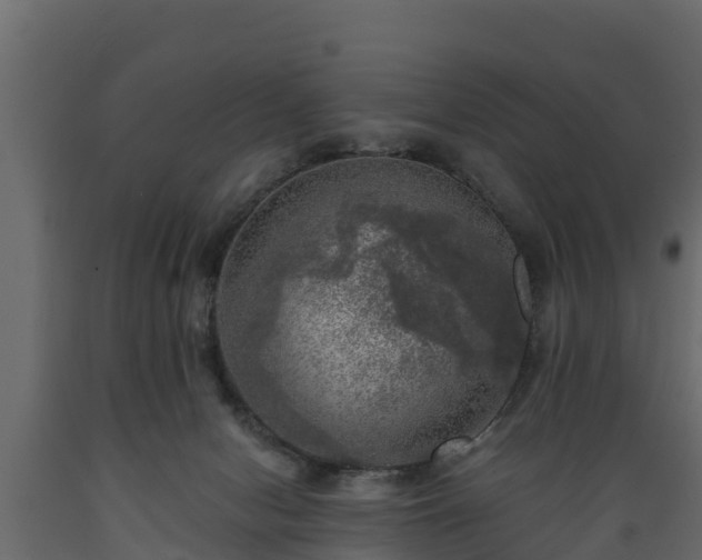 X0000089920078200707061027