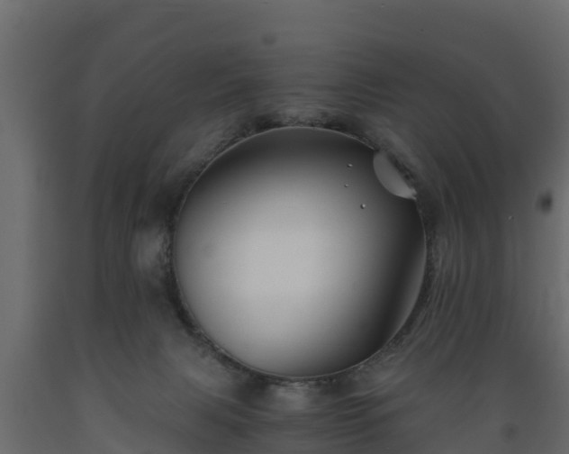 X0000089920079200707061027