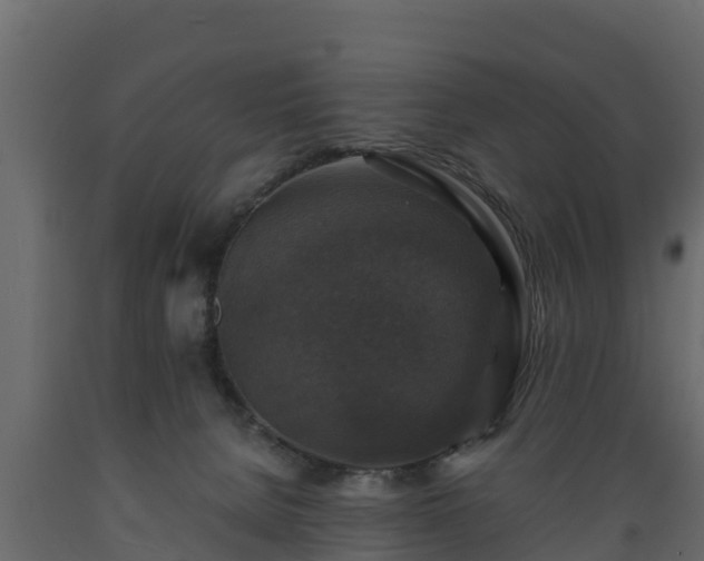X0000089920080200707061027