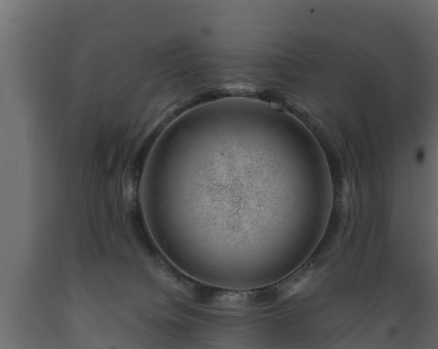 X0000089920084200707061027