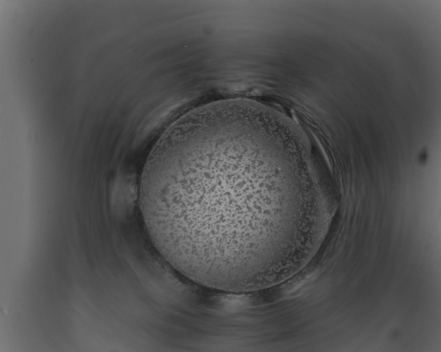 X0000089920085200707061027